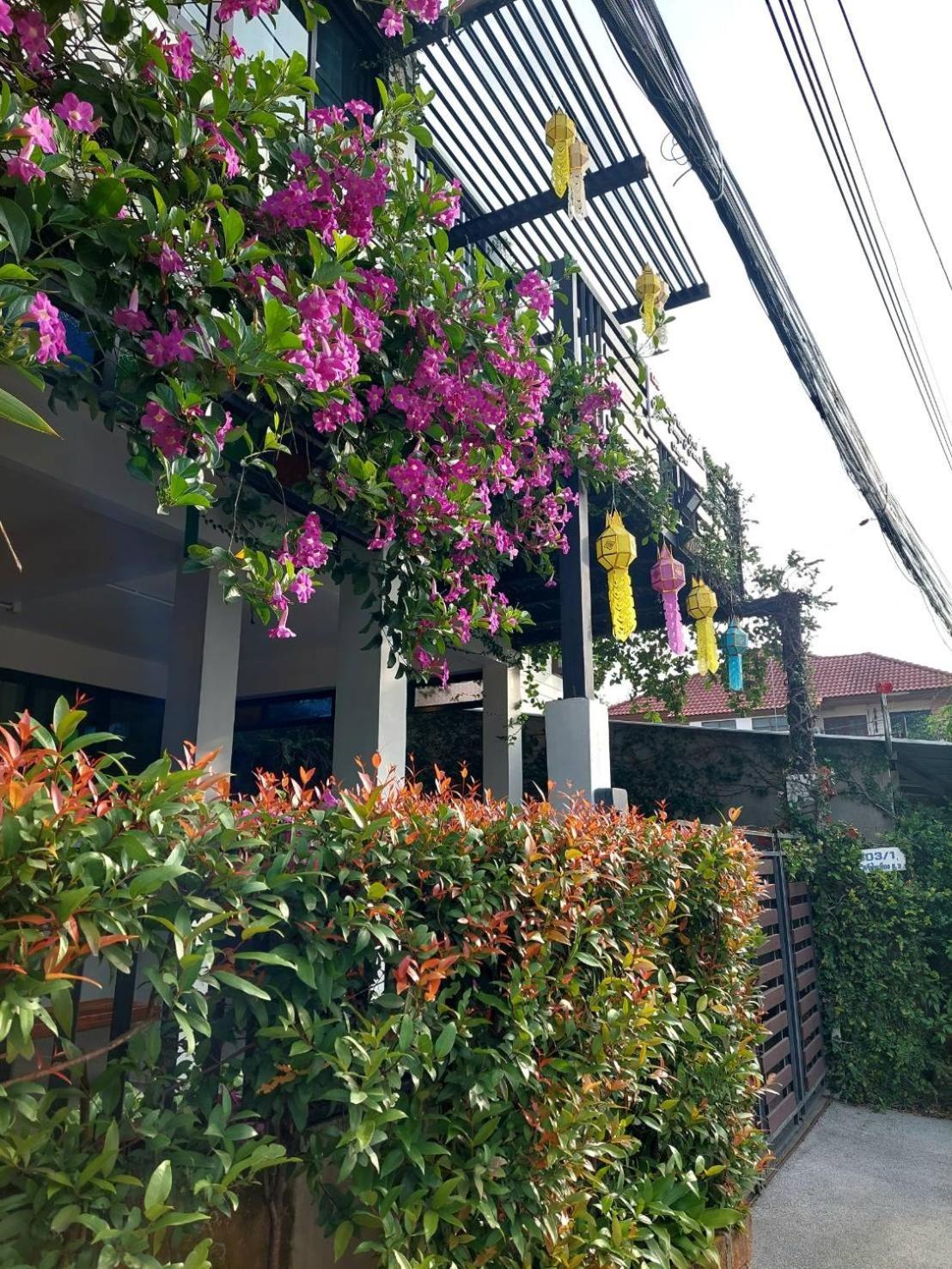 Ld8 House Private Pool Perfect Groups -Families Chiangmai Βίλα Τσιάνγκ Μάι Εξωτερικό φωτογραφία